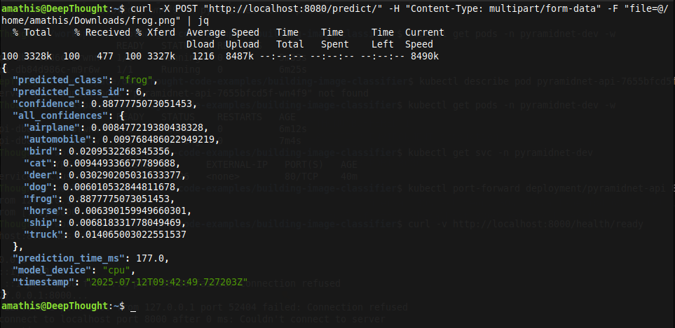 Terminal Output of prediction