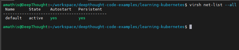 Terminal Output showing default network