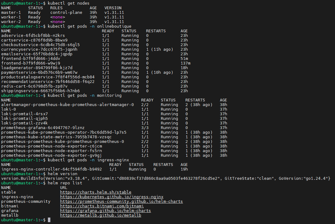 Terminal Output